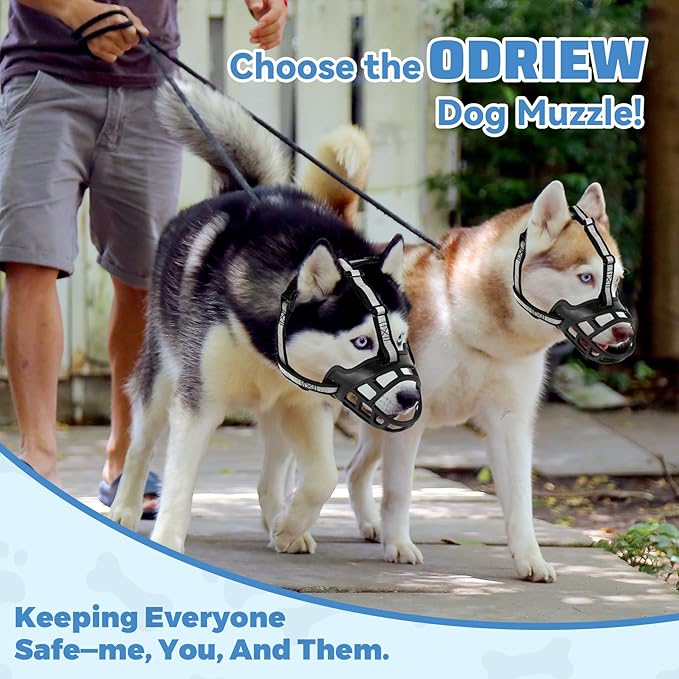 Dog Muzzle for Large Dogs, Breathable Basket Muzzles for Small, Medium and X-Large Aggressive Dog, Allows Panting Drinking, Suitable for Grooming Trimming Training (2, Blacks)