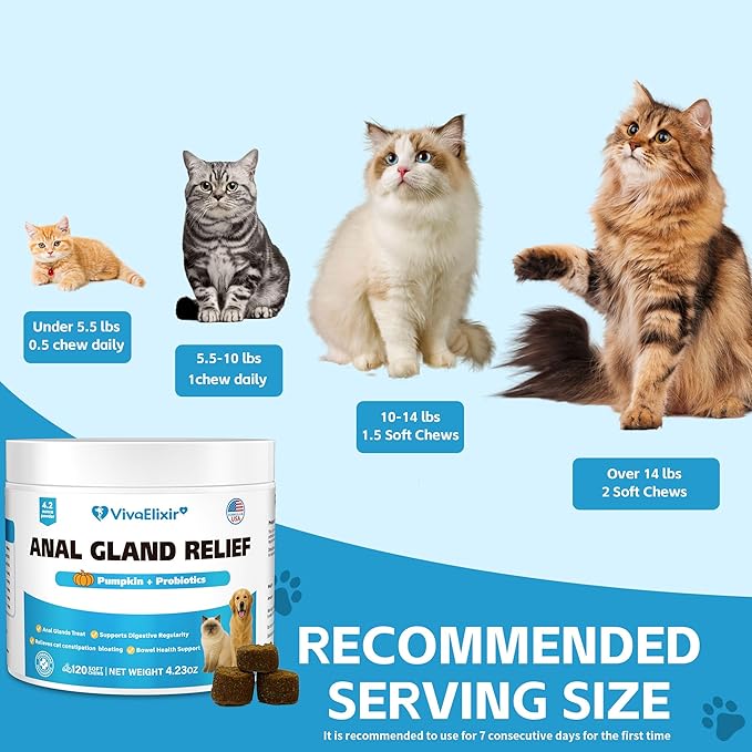 Cat Constipation Relief - Chewable Tablets - with Pumpkin, Psyllium Husk, Prebiotics & Probiotics - Supports Gut Hydration, Bowel Regularity & Immune Health - 120 Tablets