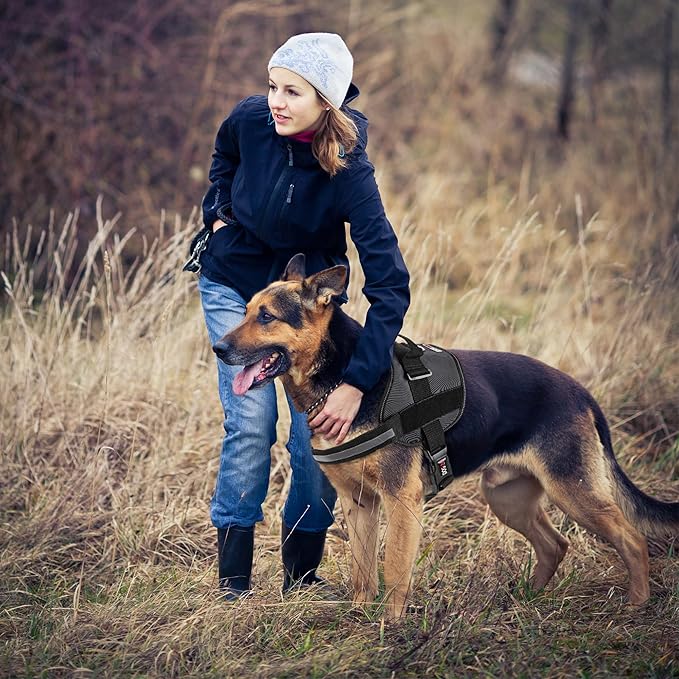 Dogline Dog Harness, Reflective No-Pull Adjustable Vest with Handle for Walking, Training, Breathable, No - Choke Harness for Small, Medium or Large Dogs Room for Patches Girth 18 to 24 in Black