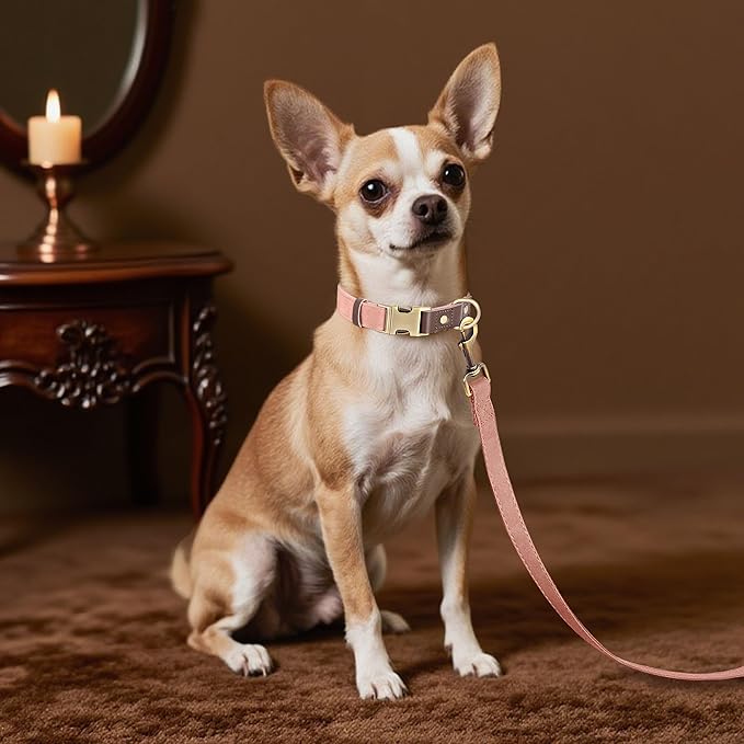 Didog Soft PU Leather Dog Collars for Small Dogs,Classic Adjustable Dog Collars with Quick Release Metal Buckle,Easy Clean and Comfortable with Nylon Lining,Pink,S Neck 10-15"