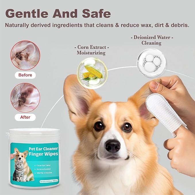 Cat Steam Brush, Dog Brush for Shedding, Pet Spray Hair Removal Comb, Pet Brush for Short & Long Hair, USB Rechargeable Grooming Supplies, Spritz Defur Comb with Finger Wipe for Teeth (White)