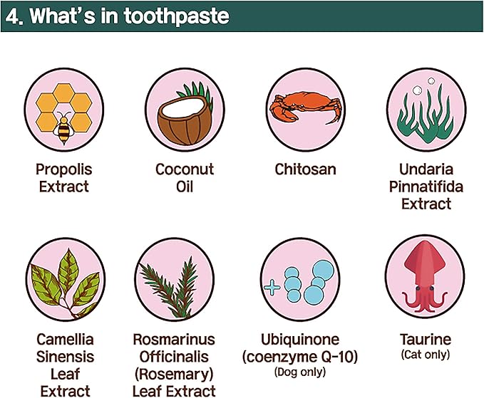 Cat Toothbrush & Toothpaste Kit – Flavor-Free Dental Gel for Cats – Finger Brush & Handle for Daily Oral Care – Plaque & Tartar Cleaning for Kittens and Adult Cats (1 Count, 1 Pack)