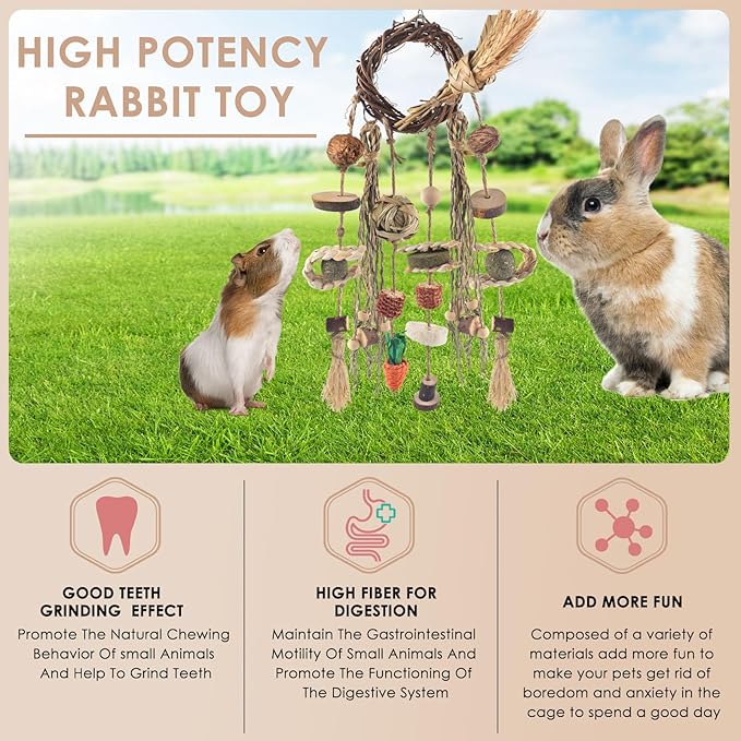 Bissap Bunny Chew Toy, Rabbits Cage Hanging Chew Toys and Treats Rattan Ring with Snacks Water Grass Wooden Block Carrot for Guinea Pigs Chinchillas Hamsters Rats and Other Small Pets Teeth Grinding