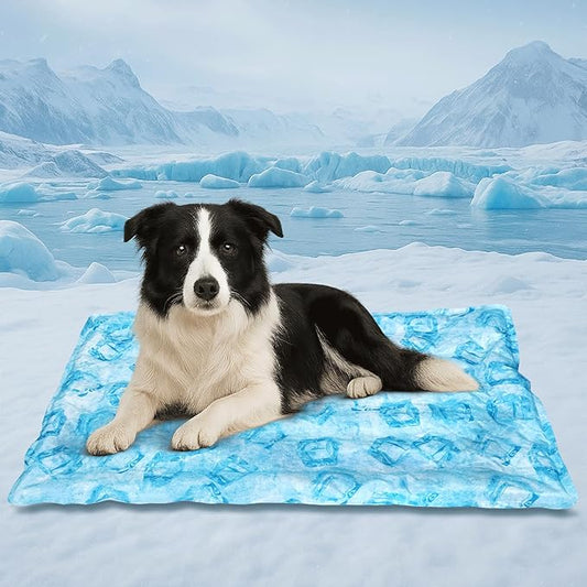 Cooling Pad for Large Dog,Instant Pet Cool Mat,Comfortable Cool Pet Mat for Cat.Portable Dog Bed for Summer. Suitable for Outdoor Summer Crate Pad.Long Time Cooling.Ice Brick(Size-L 19.7 * 23.6in)