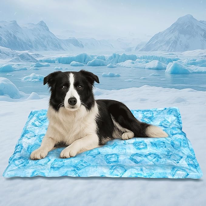 Cooling Pad for Large Dog,Instant Pet Cool Mat,Comfortable Cool Pet Mat for Cat.Portable Dog Bed for Summer. Suitable for Outdoor Summer Crate Pad.Long Time Cooling.Ice Brick(Size-XL 23.6 * 35.4in)