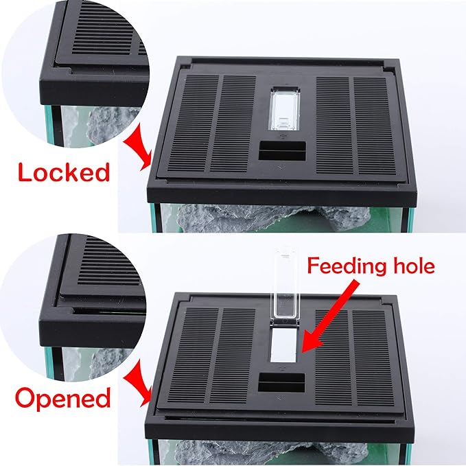 crapelles Glass Lizard Tank, Spider Box Kit, 7.8x7.8x5.9'' Tarantula Feeder Insects Beetle Habitat, Amphibians Terrarium for Small Pet, with Washable Mat, Resin Rock Shape Hideout, Artificial Flower