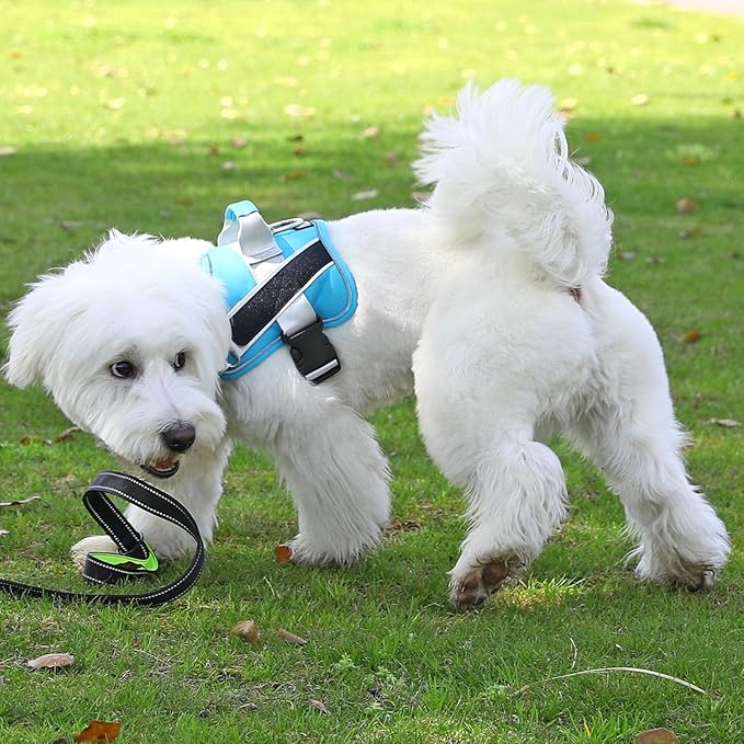 Bolux Dog Harness, No-Pull Reflective Dog Vest, Breathable Adjustable Pet Harness with Handle for Outdoor Walking - No More Pulling, Tugging or Choking (OceanicBlue, X-Small (Pack of 1))