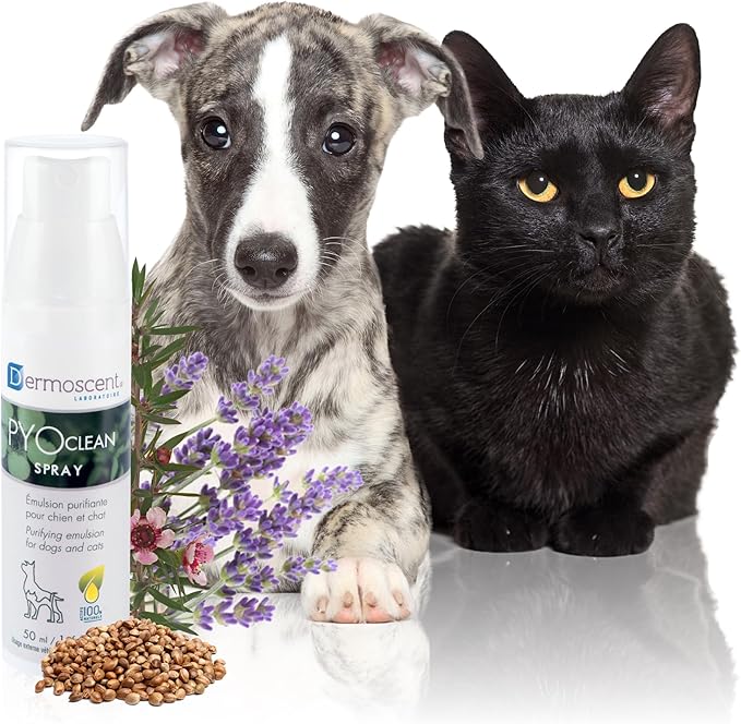 Dermoscent PYOclean® Spray for Dogs & Cats 50 ml (1.66 fl. oz.)