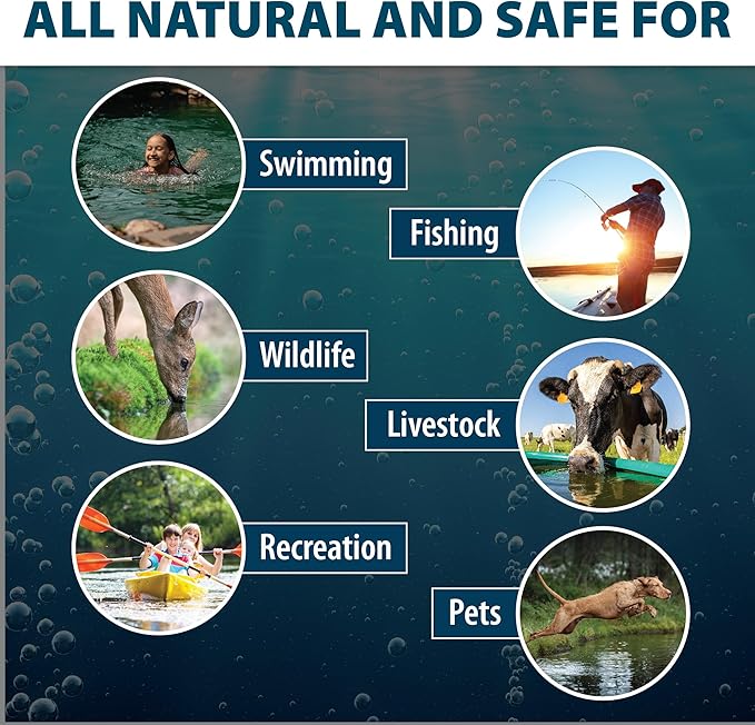 Airmax Black DyeMond Pond Dye 4X Concentrate for Outdoor Ponds & Lakes, Natural Pond Colorant & Beauty Enhancer, Block Ultraviolet Rays, Fish, Bird & Livestock Safe, Easy Liquid Application, 1 Quart