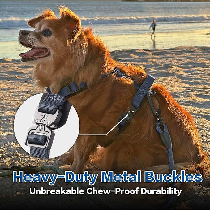 CLEPAWS Dog Harness for Medium Dogs, No Pull Dog Harness Easy Walk with Metal Hardware, Ergonomic Y-Shaped Design, Soft Padding, Padded Handle, Durable High-Tensile Nylon (Nightfall, M)