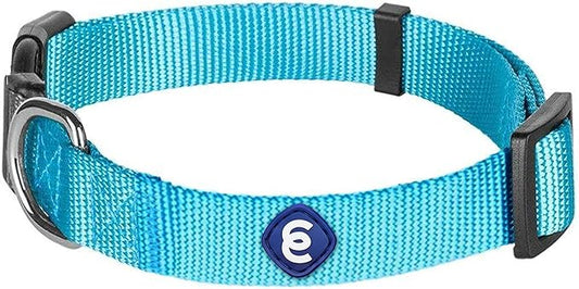 Blueberry Pet Essentials X-Small Dog Collar in Turquoise | Adjustable & Eco-Friendly Durable Nylon Strap | Classic Collar for X-Small Dogs, Boy & Girl Pets
