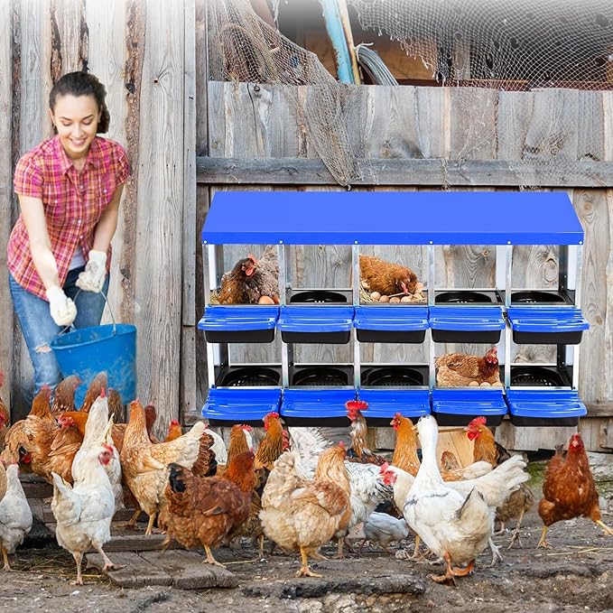 Chicken Nesting Boxes, 10 Hole Metal Chicken Laying Box with with Removable Trays and Roll Out Egg Collection for Chicken Coop, Blue
