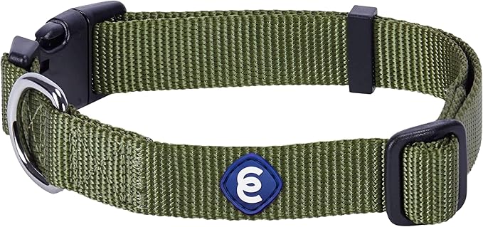 Blueberry Pet Essentials Medium Dog Collar in Military Green | Adjustable & Eco-Friendly Durable Nylon Strap | Classic Collar for Medium Dogs, Boy & Girl Pets