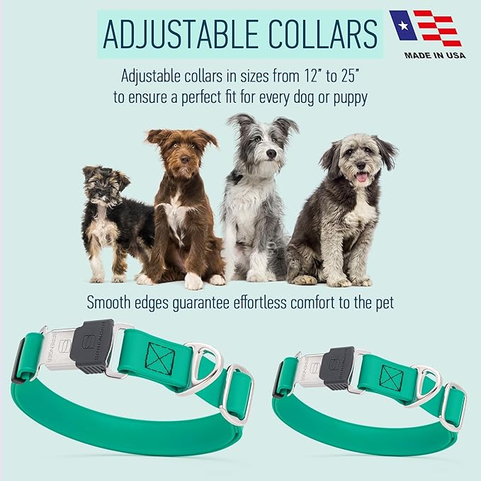 Dogline Biothane Waterproof Dog Collar with Herm Sprenger Black Stainless Steel Quick Release Buckle – Heavy Duty Tactical Durable Collar for Dogs – Comfortable and Safe Pet Collar W 3/4" L12-19 Teal