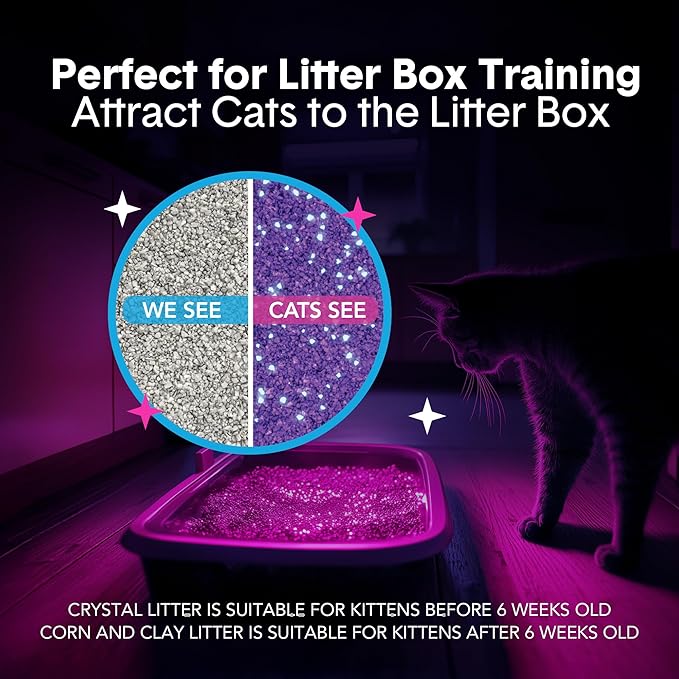 Boxie® Glo™ 30 Day Odor Control Clumping Clay Cat Litter, 40 lb, Multi-Cat, 99.9% Dust-Free, Low Tracking, UV Light Attractant, Superior Clumping for Easy Scooping