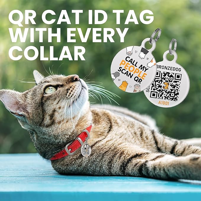 BRONZEDOG Leather Cat Collar with Removable Bells Non Breakaway Kitten QR Tag for Girl Boy (7" - 9" for Cats, Red & Silver)