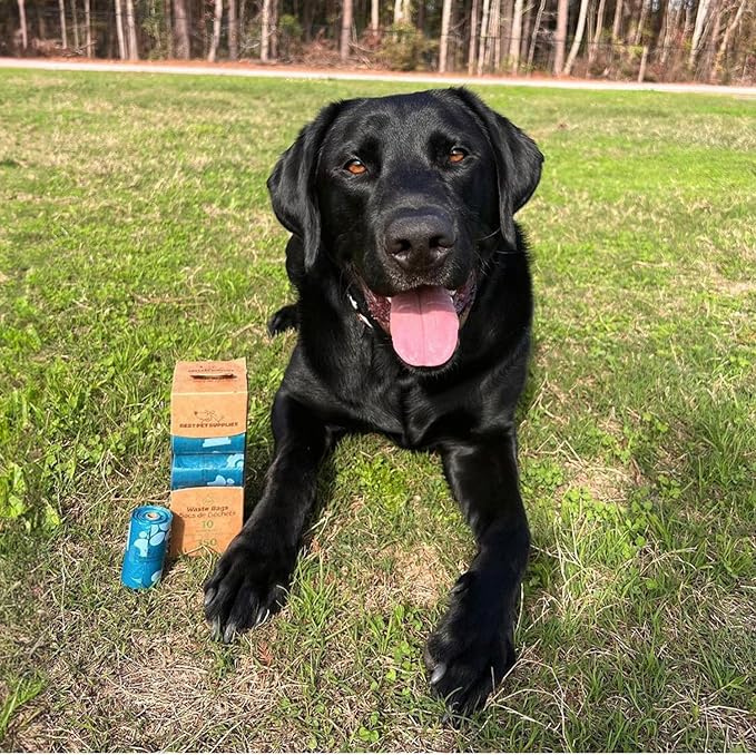 Best Pet Supplies Dog Poop Bags (150 Bags) for Waste Refuse Cleanup, Doggy Roll Replacements for Outdoor Puppy Walking and Travel, Leak Proof and Tear Resistant, Thick Plastic - Turquoise