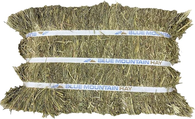 Blue Mountain Hay High-Altitude Teff Grass Hay, 50lb Easy Flake Box - Low NSC & High Fiber for Easy Digestion and Weight Management - Ideal for Horses, Goats, Rabbits, Guinea Pigs & Other Small Pets