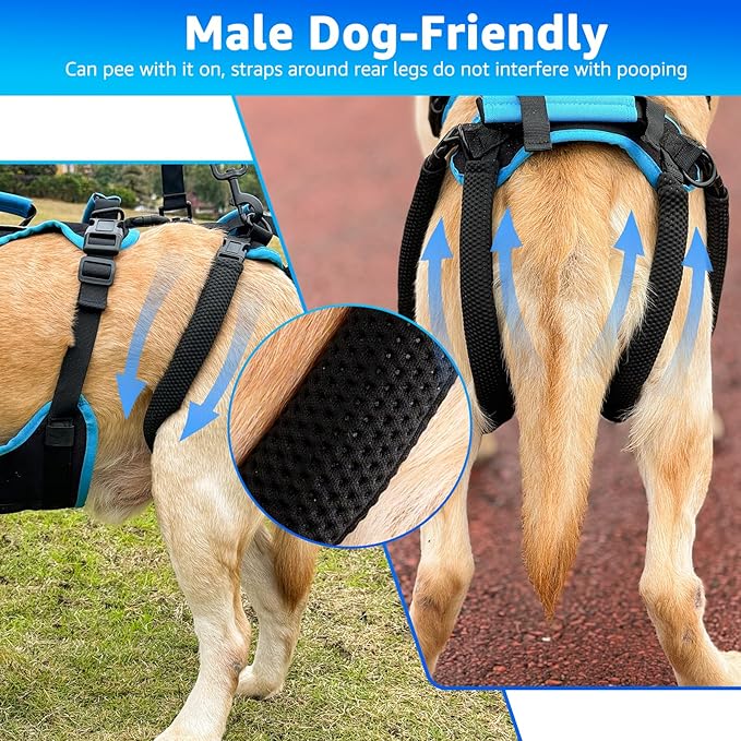 Dog Lift Harness for Large Male Dogs, 2-in-1 Detachable Support Harness, Full Body Carrying with 4 Handles, Dog Sling for Large Dogs Hind Leg Support(Black, X-Large)
