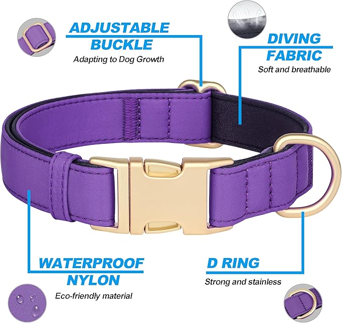 Didog Soft Padded Dog Collar for Large Dogs, Colorful and Durable Pet Collar with Quick Release Buckle, Light and Breathable for Daily Walking, Purple, L