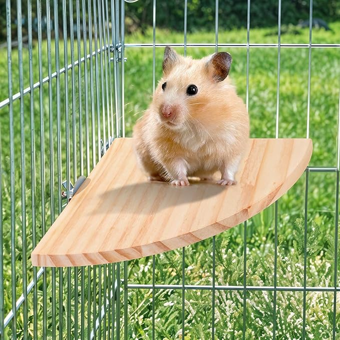 Bird Perch Platform Stand Wooden Parrot Perch Corner 6.7 Inches Fan Shape Playground Cage Accessories Parrot Stand Flat Perches for Bird Cages Corner Shelf for Birds Parrots Hamster Gerbil