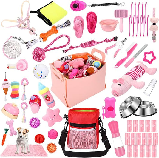 65 Pcs Puppy Supplies Starter Kit Small Dog Essentials Includes Dog Leash, Toys, Bowl, Brushes, Water Bottles, pet Blankets Puppy Accessories for New Welcome Gift Supplies(Cute,Pink)