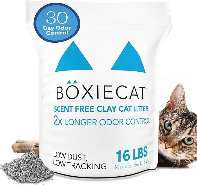 Boxie® Unscented 30 Day Odour Control Clumping Clay Cat & Kitty Litter 16 lb, 99.9% Dust-Free, Hard Flat Top® Clumps, No Fragrances No Fillers, Long-Lasting, Easy to Scoop