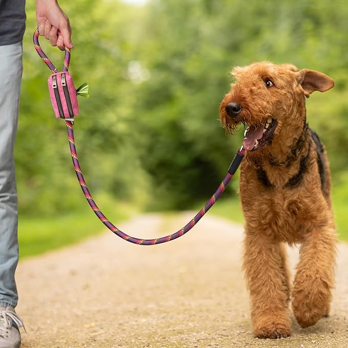 Dog Poop Bag Holder for Leashes - Dog Poop Bag Dispenser and Treat Holder with 2 Waterproof Pouches for Pet Waste Bags and Walking Accessories + 1 Free Roll - Leashrr 2.0 (Black)