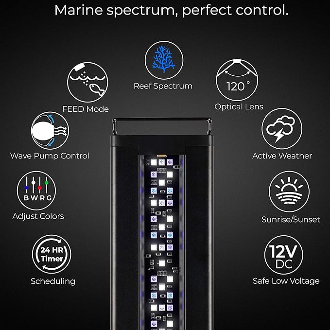 CURRENT USA 48 - 60" Inch Orbit Marine LED Saltwater Reef Marine Aquarium Light | 24 Hour IR Lighting & eFlux Wave Pump Control | Adjustable Color Spectrum for Fish Tank (4103)