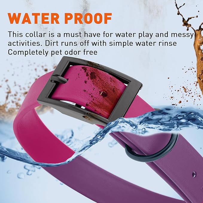 Dogline Biothane Waterproof Dog Collar Strong Coated Nylon Webbing with Black Hardware Odor- Proof for Easy Care Easy to Clean High Performance Fits Small Medium or Large Dogs, Magenta Pink
