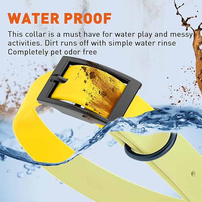 Dogline Biothane Waterproof Dog Collar Strong Coated Nylon Webbing with Black Hardware Odor- Proof for Easy Care Easy to Clean High Performance Fits Small Medium or Large Dogs, Lemon Yellow