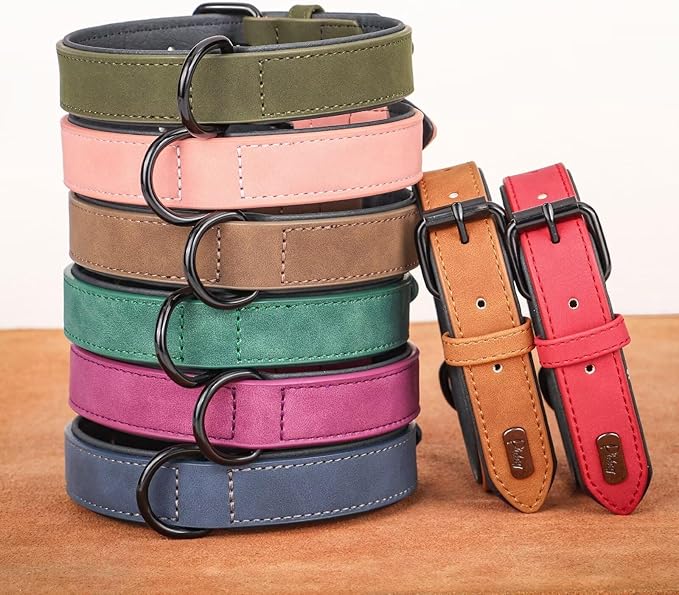 Didog Soft Padded PU Leather Dog Collar, Breathable and Adjustable Dog Collars for Small Dogs, Comfortable for Daily Walk, Dark Green, M Fit Neck 12-15"(13-22 lbs)
