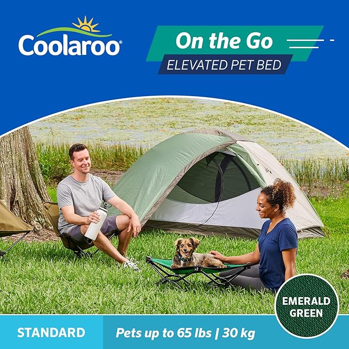 Coolaroo On-The-Go Elevated Dog Bed - Foldable Pop-Up Travel Dog Bed with Breathable, Moisture-Resistant Fabric, Carry Bag Included, Lightweight & Portable, Emerald Green, Standard