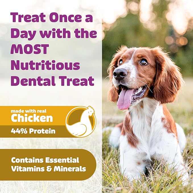 Dog Dental Treats – Vet VOHC Approved, Removes Tartar & Cleans Teeth – Yummy High Protein Chicken Treat for Extra Large Dogs (Mini Pack, 4 Count)