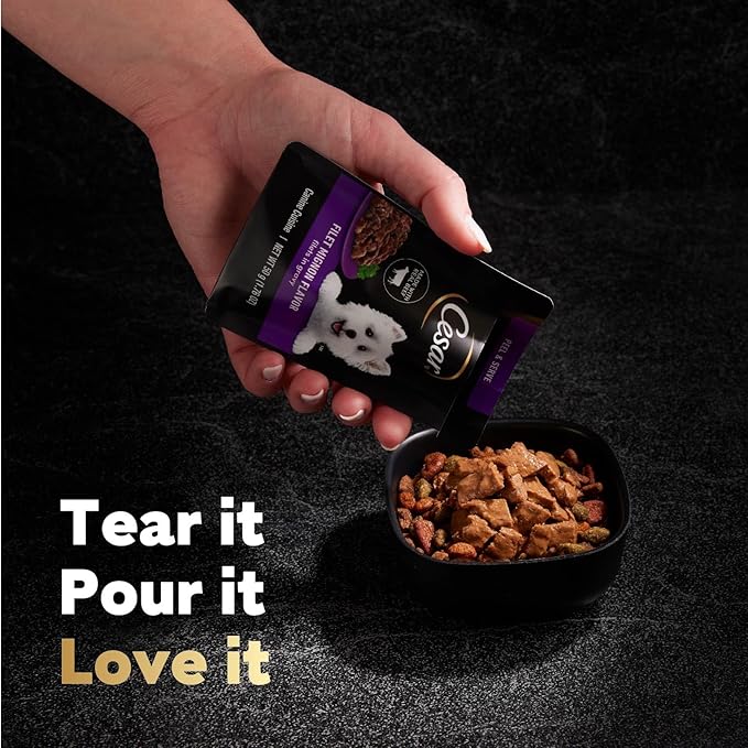 Cesar Filets in Gravy Wet Dog Food Filet Mignon Flavor, Rotisserie Chicken Flavor, and Wood-Grilled Chicken Flavor Variety Pack, 1.76 oz. Mini-Pouches (40 Count, Pack of 1)