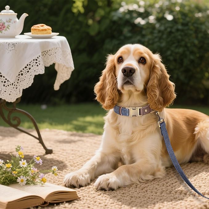 Didog Soft PU Leather Dog Collars for Medium Dogs,Classic Adjustable Dog Collars with Quick Release Metal Buckle,Easy Clean and Comfortable with Nylon Lining,Blue,M Neck 13-19"