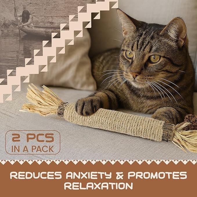 Catnip Silvervine Sticks for Cats | Silver Vine Chew Toy or Cat Chew Stick | Kitten Teething Toys | Cat Dental Chew with Cat Raffia Grass for Healthy Teeth & Digestion | Silvervine Cat Toy | 2 Sticks