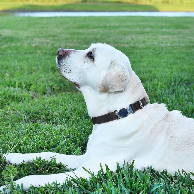 Dogline Biothane Waterproof Dog Collar with Herm Sprenger Stainless Steel Quick Release Buckle – Heavy Duty Tactical Durable Collar for Dogs – Comfortable and Safe Pet Collar, W 1" L 15-25", Black