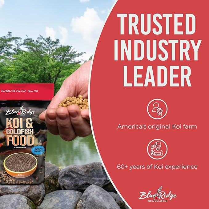 Blue Ridge Koi Fish Food 2lb - Koi Food Mini Growth Formula, Goldfish Food, Premium Fish Food for Ponds, Ponds Fish Food, Floating Pond Pellets