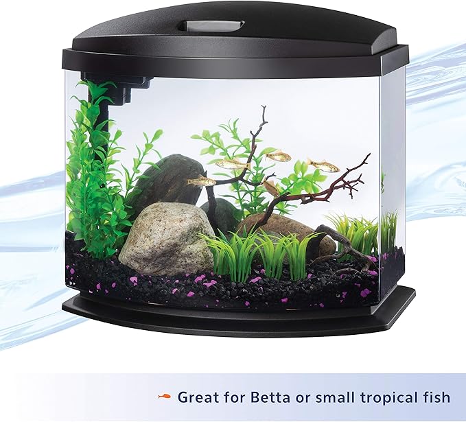 Aqueon LED MiniBow Small Aquarium Fish Tank Kit with SmartClean Technology, Black, 5 Gallon