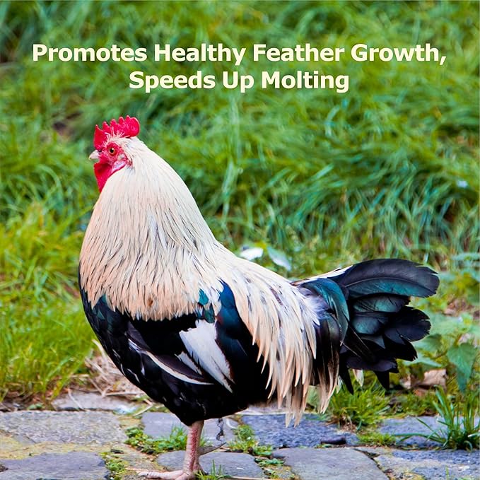 4LB Non-GMO Dried Black Soldier Fly Larvae, More Calcium Than Dried Mealworms, High Protein Chicken Feed, Poultry Treats