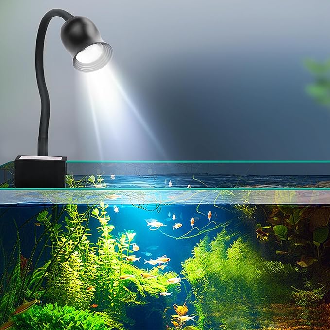 Aquarium Light Focus Light for Open Fish Tank Indoor LED Light Big Clip Lamp Adjustable Focus (White-Blue)