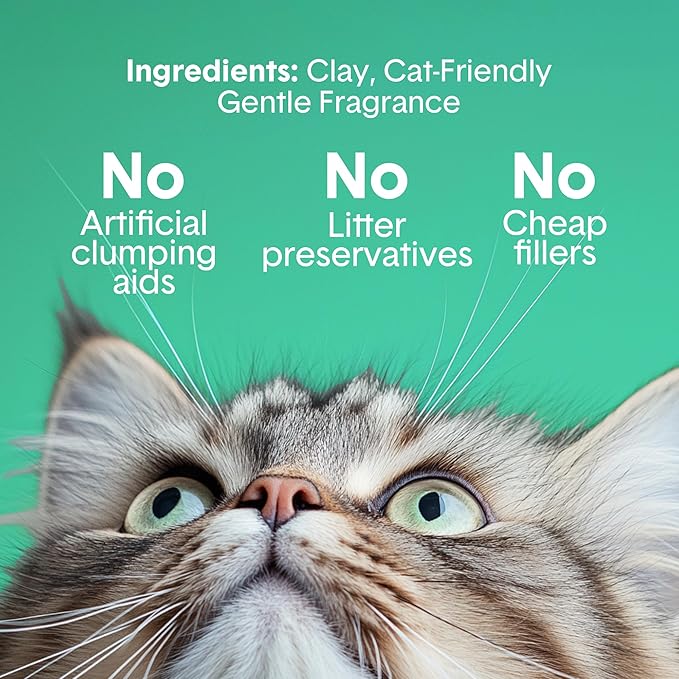 Boxiecat Gently Scented Premium Clumping Clay Cat Litter-16-Pounds