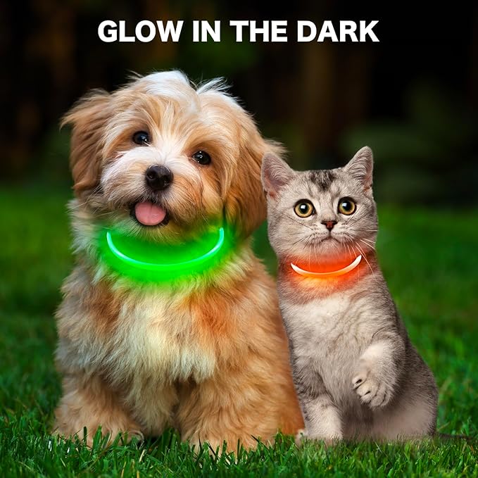 BSEEN Light Up Dog Collar - Rainproof LED Dog Collar Rechargeable - TPU Cuttable Glowing Pet Collar for Small Puppies& Cats, Safety Dog Lights for Night Walking& Camping (XS- Orange 40cm)