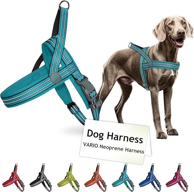 DOCO No-Pull Dog Harness Halter Reflective Easy-Control Harness for Training, Walking, and Preventing Pulling, Ideal for X-Large Dogs(Turquoise)