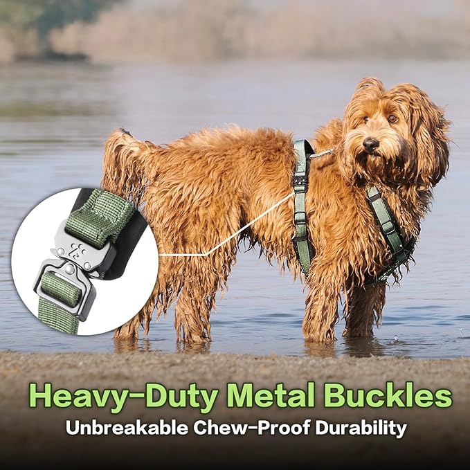CLEPAWS Dog Harness for Small Dogs, No Pull Dog Harness Easy Walk with Metal Hardware, Ergonomic Y-Shaped Design, Soft Padding, Padded Handle, Durable High-Tensile Nylon (Evergreen, S)