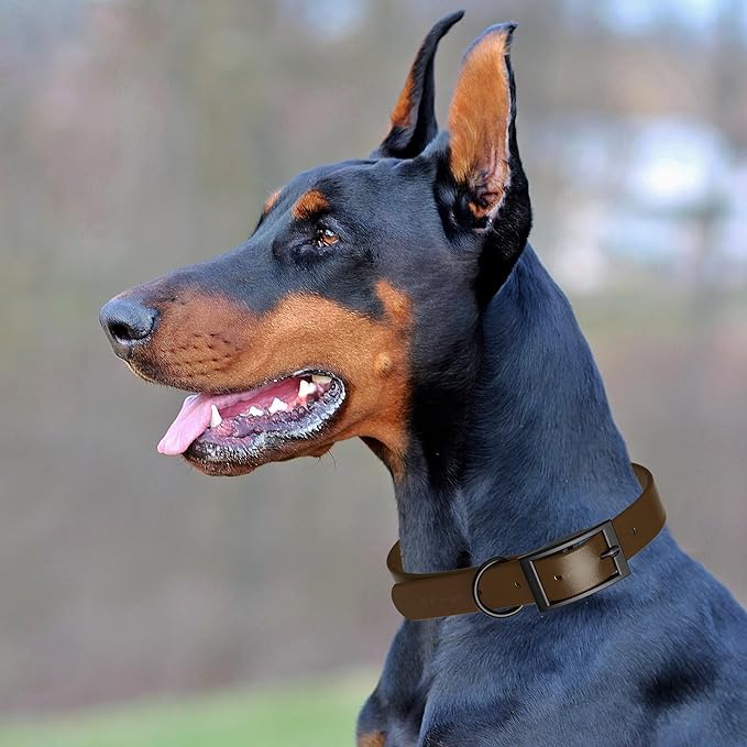 Dogline Biothane Waterproof Dog Collar Strong Coated Nylon Webbing with Black Hardware Odor- Proof for Easy Care Easy to Clean High Performance Fits Small Medium or Large Dogs, Dark Chocolate Brown
