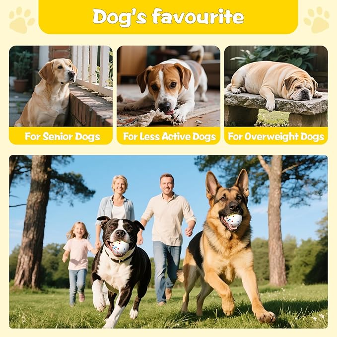 Dog Ball, 2.5 inch Dog Toy for Aggressive Chewers,ETPU Material Durable Ball for Launcher,Indestructible Bouncy Floating Balls for Dogs