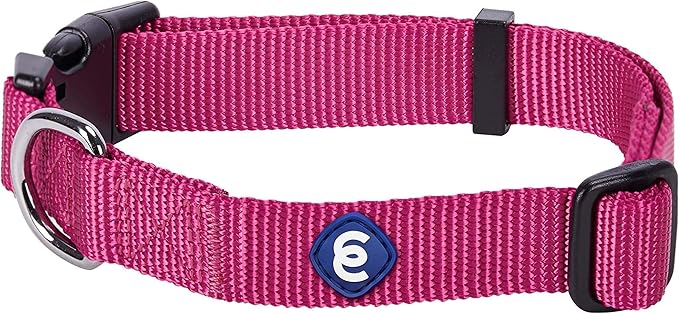 Blueberry Pet Essentials Small Dog Collar in Very Berry | Adjustable & Eco-Friendly Durable Nylon Strap | Classic Collar for Small Dogs, Boy & Girl Pets