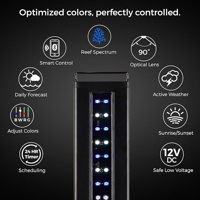 CURRENT USA 24-36" Inch Orbit Marine IC Loop LED Saltwater Reef Marine Aquarium Light with Bluetooth App Control | Wireless Lighting & eFlux Wave Pump Control for Fish Tank (4205)